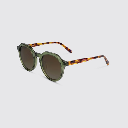 JOEY - Olive Tortoise
