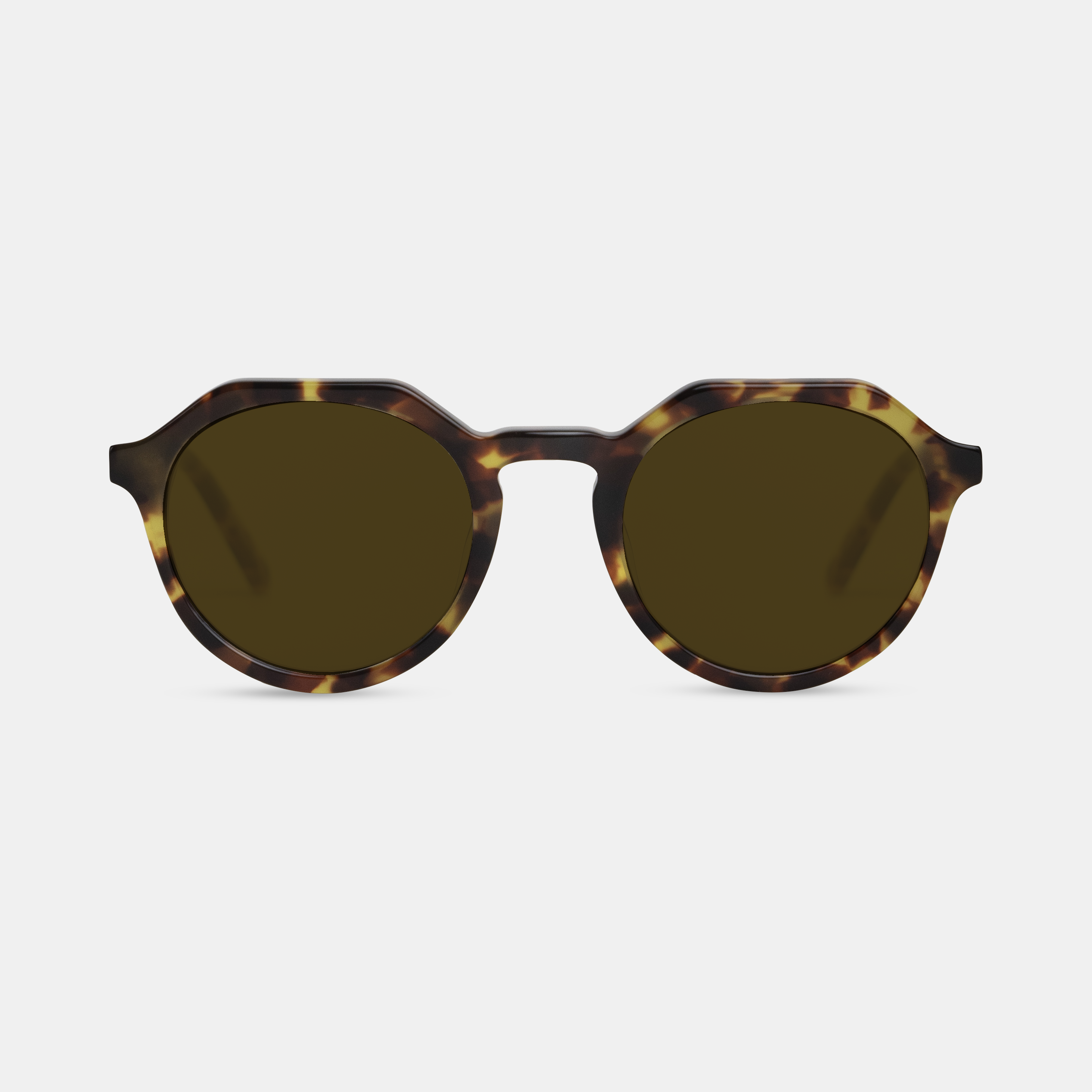 JOEY - Tortoise