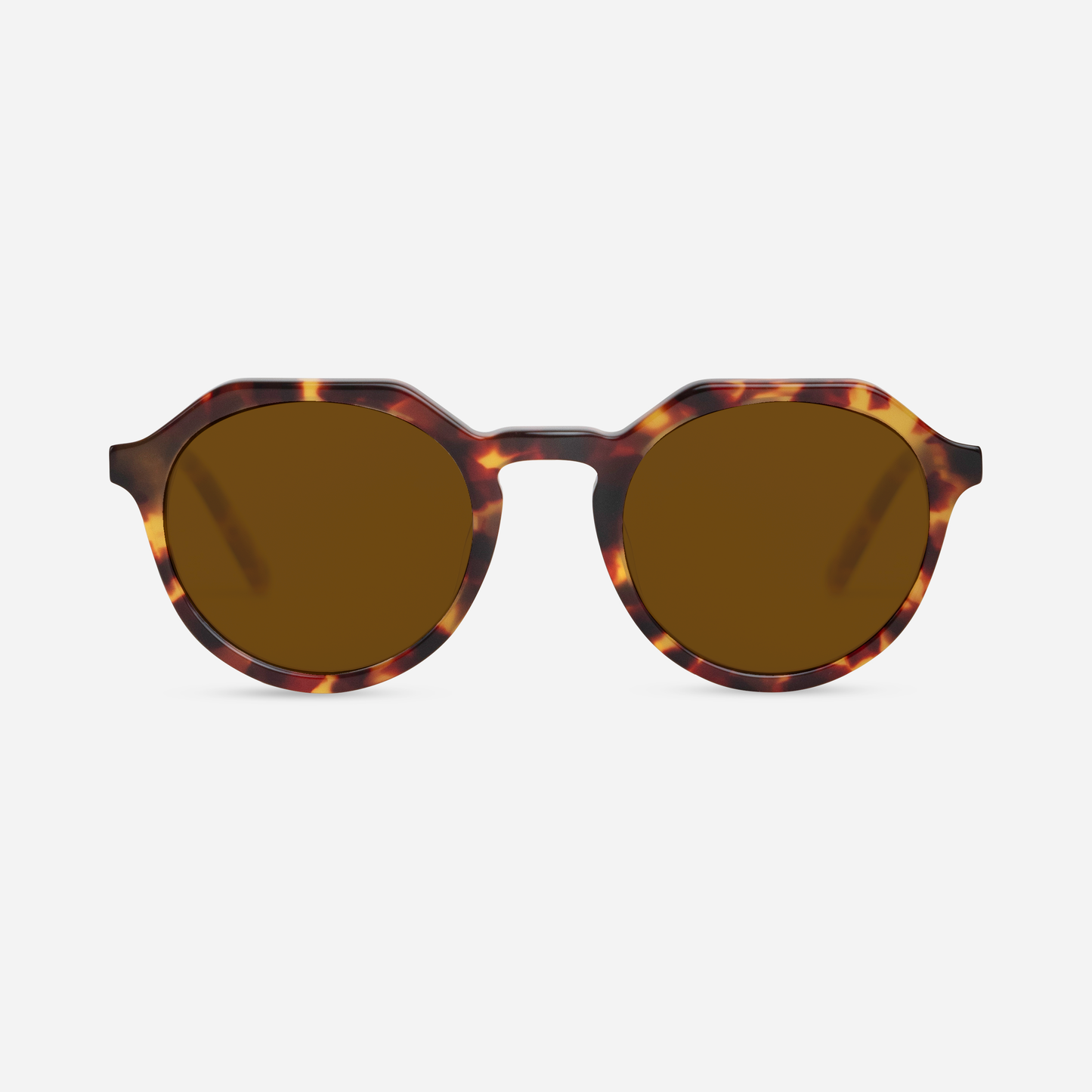JOEY - Tortoise
